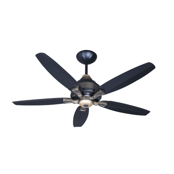 Lahore Fan Astro 5 Blade Black Gold