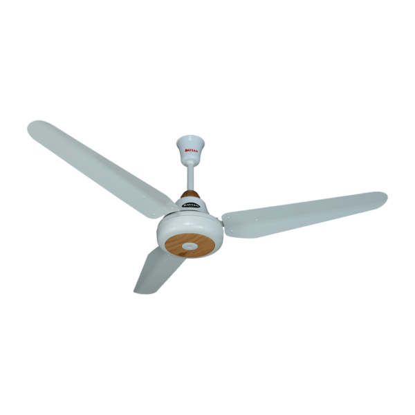 Ravian Fan Ocean Diar Wood