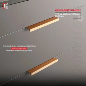 Cabinet Handle DS 029