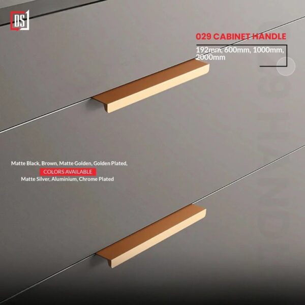Cabinet Handle DS 029