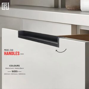 Cabinet Handle DS 049