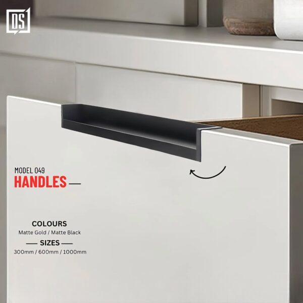 Cabinet Handle DS 049